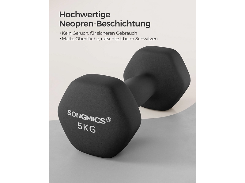 SONGMICS Set 2 manubri
