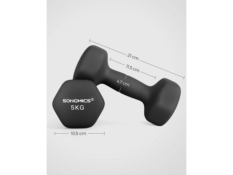 SONGMICS Set 2 manubri