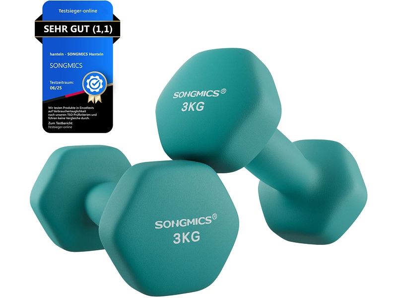 Set de 2 haltères SONGMICS Fer bleu canard
