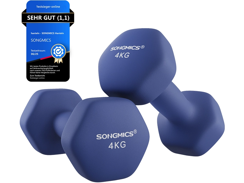 Set de 2 haltères SONGMICS Fer bleu