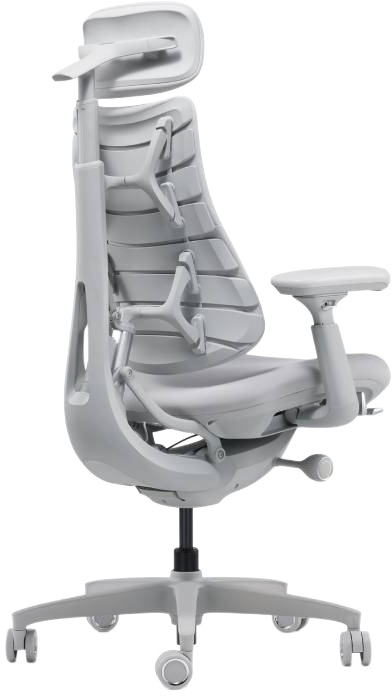 Ergonomischer Bürostuhl LIBERNOVO OMNI DYNAMIC