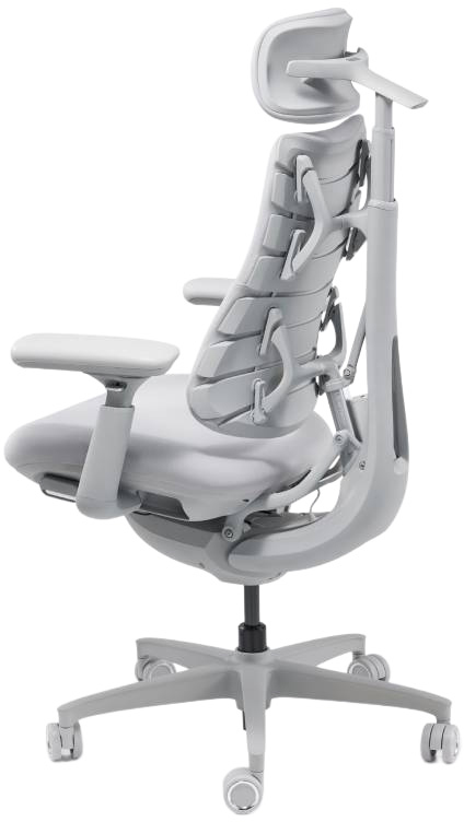 Ergonomischer Bürostuhl LIBERNOVO OMNI DYNAMIC