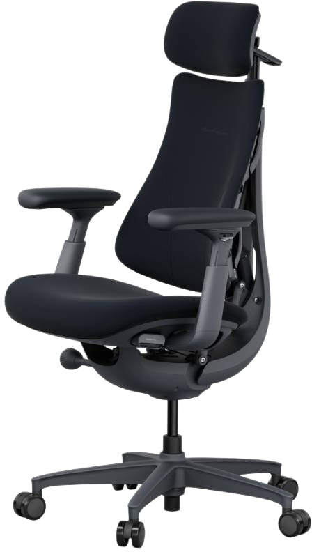 Ergonomischer Bürostuhl LIBERNOVO OMNI DYNAMIC