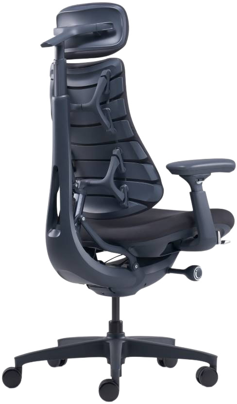 Ergonomischer Bürostuhl LIBERNOVO OMNI DYNAMIC