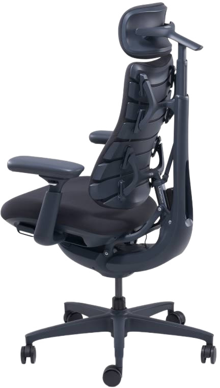 Ergonomischer Bürostuhl LIBERNOVO OMNI DYNAMIC