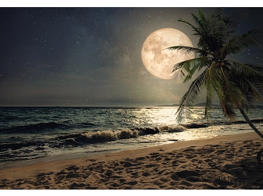 Carta da parati BEACH 2 pezzi fibra polare blu notte Carta da parati BEACH 2 pezzi fibra polare blu notte