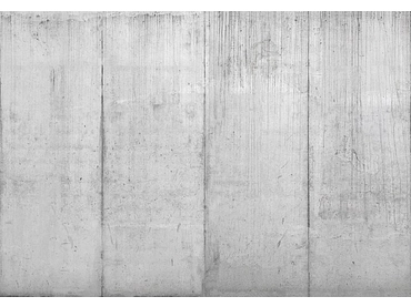 Carta da parati BETON 1 pezzo fibra polare cemento grigio Carta da parati BETON 1 pezzo fibra polare cemento grigio