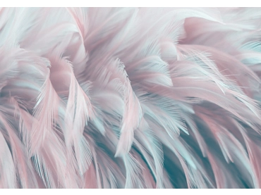 Carta da parati PLUME 2 pezzi fibra polare rosa Carta da parati PLUME 2 pezzi fibra polare rosa