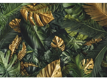 Carta da parati TROPICAL 4 pezzi fibra polare verde scuro Carta da parati TROPICAL 4 pezzi fibra polare verde scuro