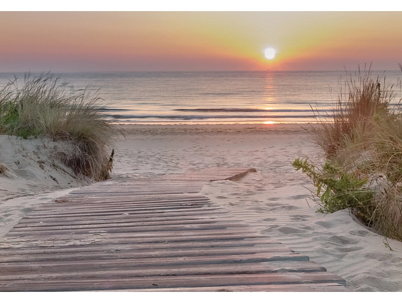 Tapete BEACH 4-teilig vliesfaser sandfarben Tapete BEACH 4-teilig vliesfaser sandfarben