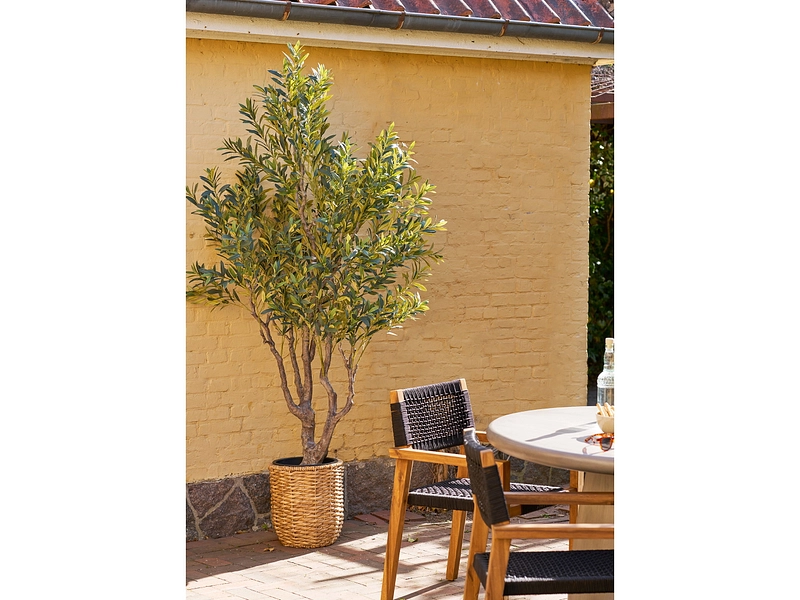 Plante artificielle OLIVE Plante artificielle OLIVE