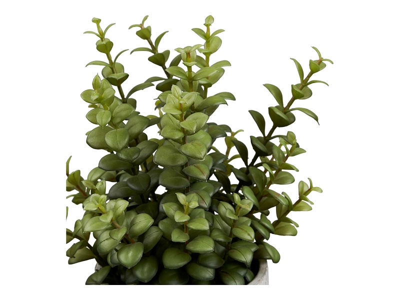 Plante artificielle Plante artificielle