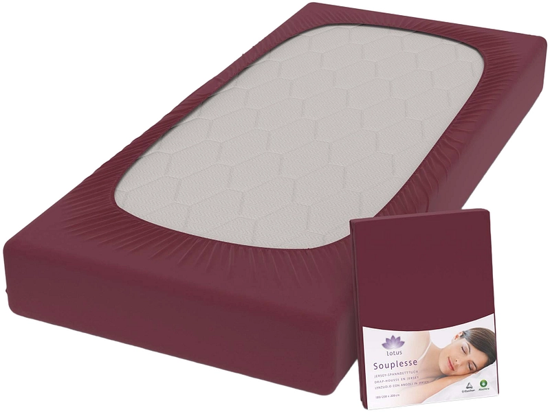 LOTUS Drap-housse SOUPLESSE