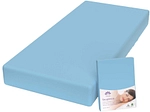 Bleu canard