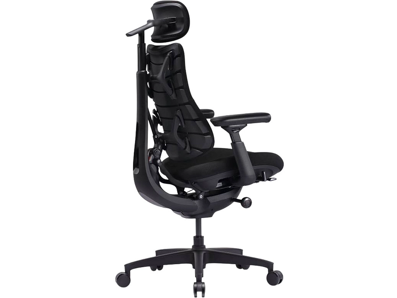 Ergonomischer Bürostuhl LIBERNOVO OMNI SE