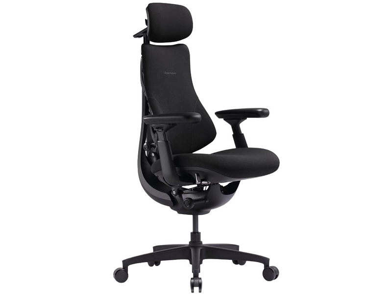 Ergonomischer Bürostuhl LIBERNOVO OMNI SE