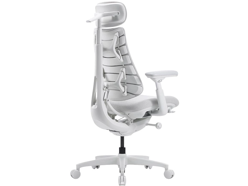 Ergonomischer Bürostuhl LIBERNOVO OMNI GEN