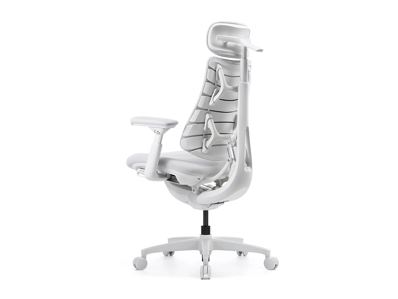 Ergonomischer Bürostuhl LIBERNOVO OMNI GEN