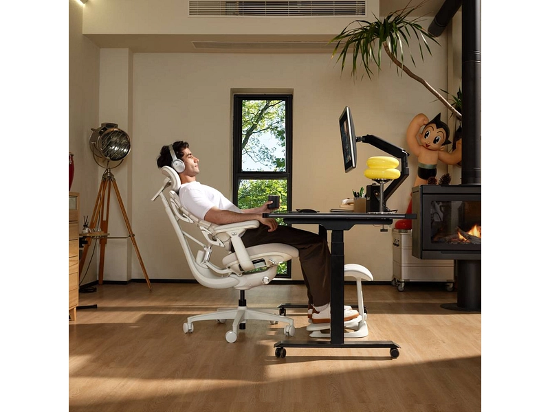 Ergonomischer Bürostuhl LIBERNOVO OMNI GEN