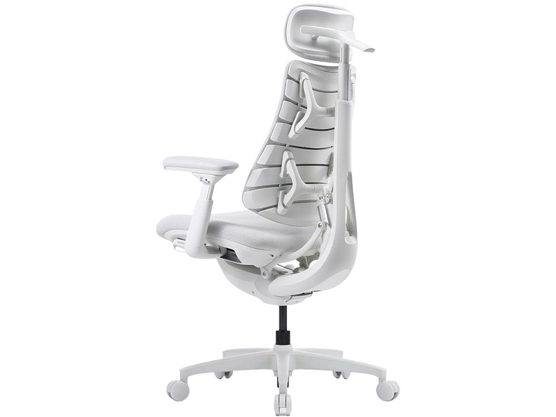 Ergonomischer Bürostuhl LIBERNOVO OMNI GEN