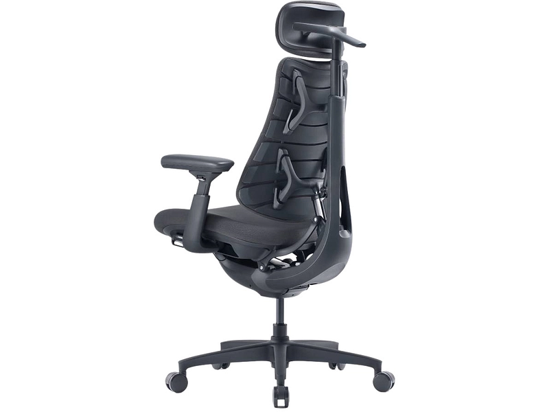Ergonomischer Bürostuhl LIBERNOVO OMNI GEN