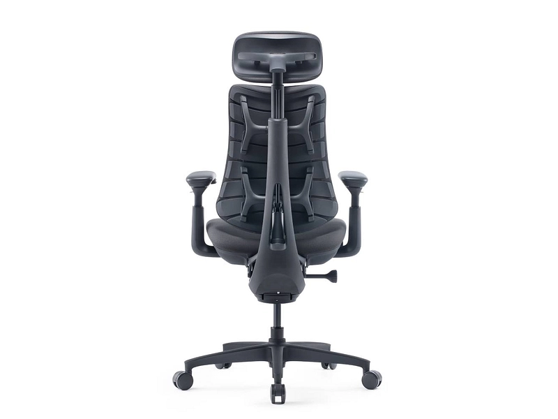Ergonomischer Bürostuhl LIBERNOVO OMNI GEN