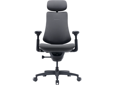 Ergonomischer Bürostuhl LIBERNOVO OMNI GEN