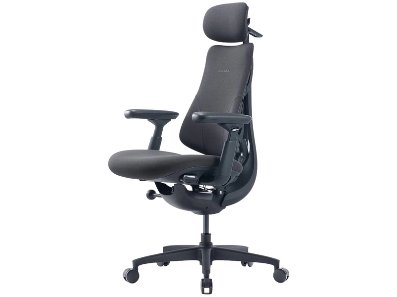 Ergonomischer Bürostuhl LIBERNOVO OMNI GEN