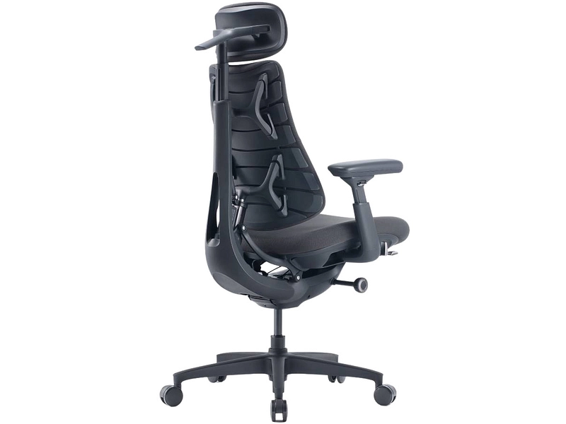 Ergonomischer Bürostuhl LIBERNOVO OMNI GEN