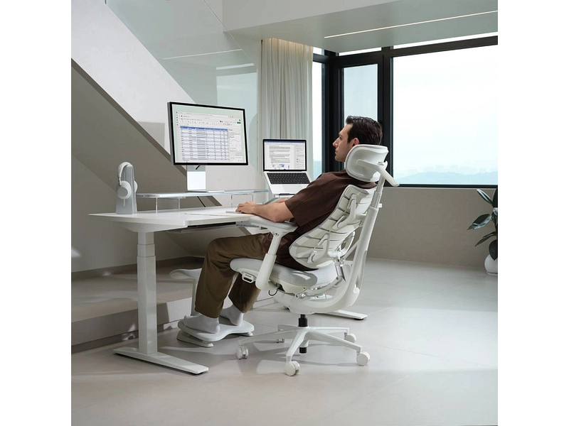 Ergonomischer Bürostuhl LIBERNOVO OMNI PRO
