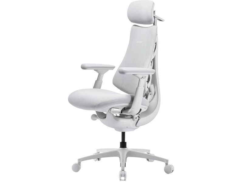 Ergonomischer Bürostuhl LIBERNOVO OMNI PRO