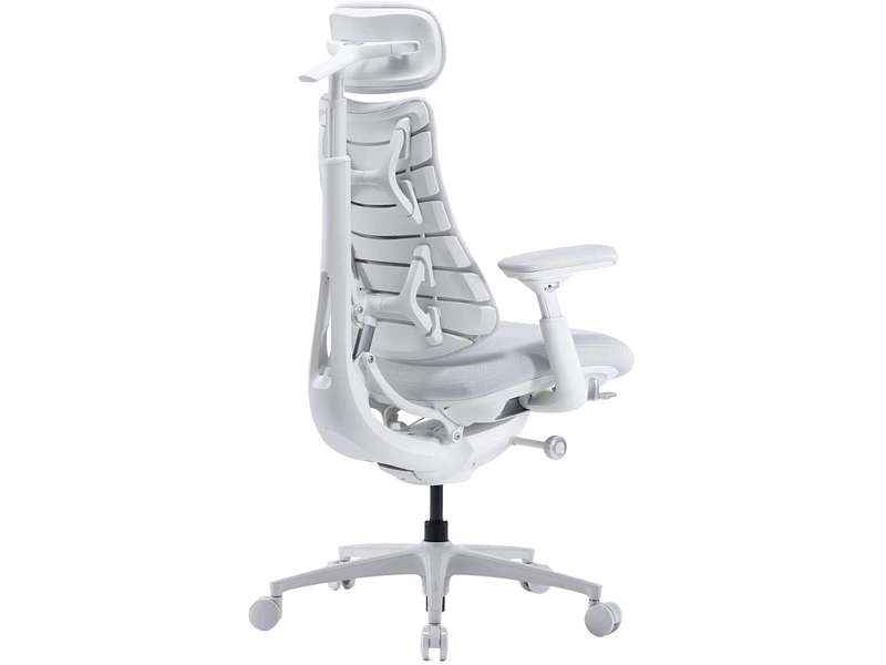 Ergonomischer Bürostuhl LIBERNOVO OMNI PRO