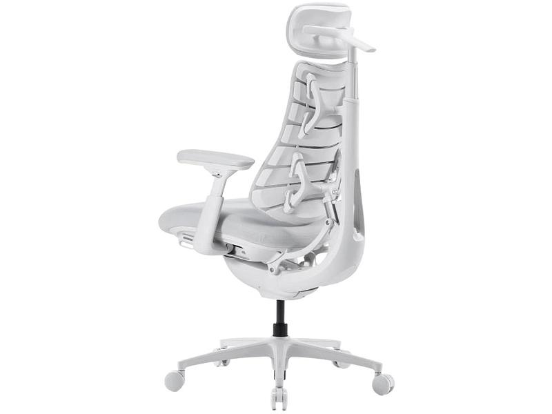 Ergonomischer Bürostuhl LIBERNOVO OMNI PRO