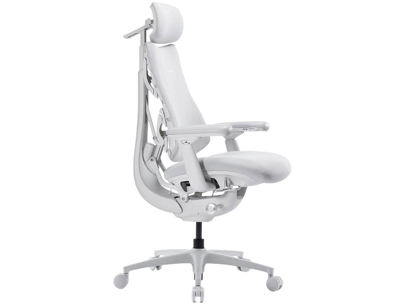 Ergonomischer Bürostuhl LIBERNOVO OMNI PRO
