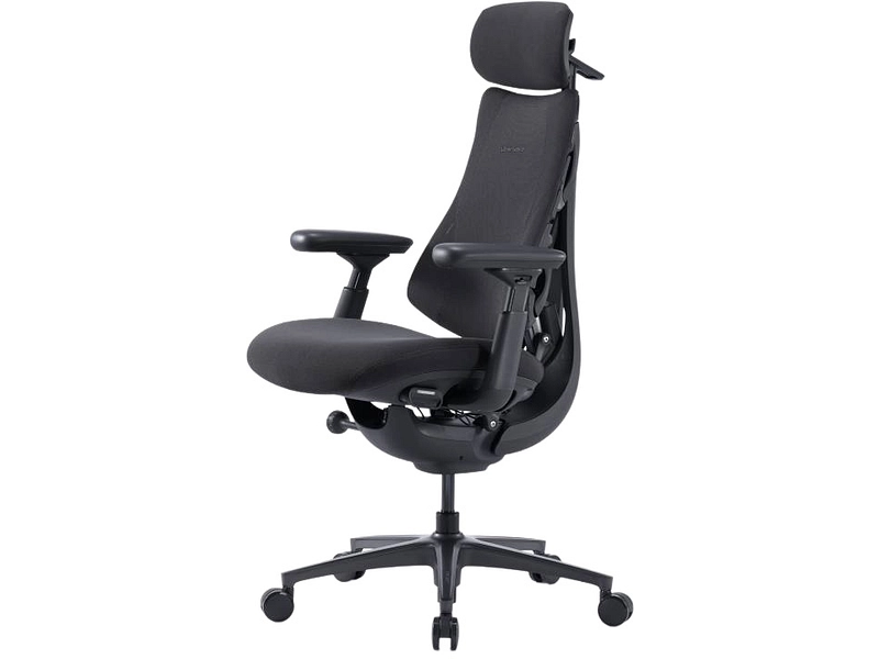 Ergonomischer Bürostuhl LIBERNOVO OMNI PRO