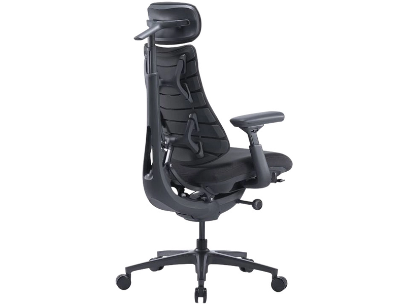 Ergonomischer Bürostuhl LIBERNOVO OMNI PRO