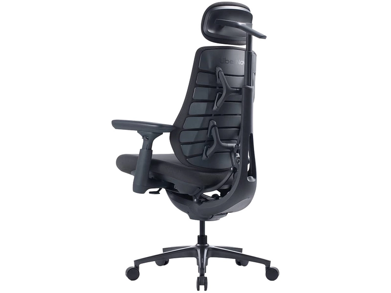 Ergonomischer Bürostuhl LIBERNOVO MAXIS MANUAL