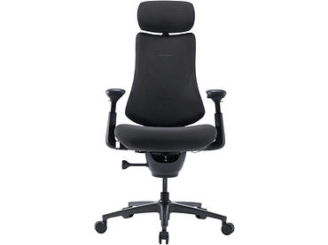 Ergonomischer Bürostuhl LIBERNOVO OMNI PRO