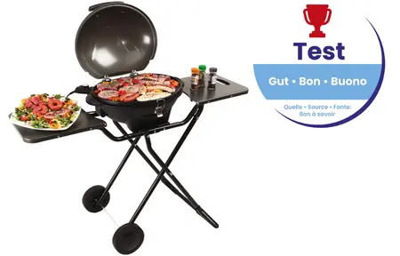 test gril électrique OHMEX