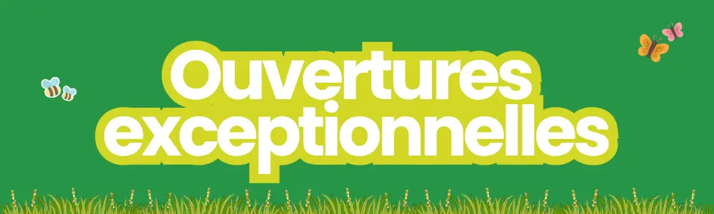 ouvertures spéciales conforama