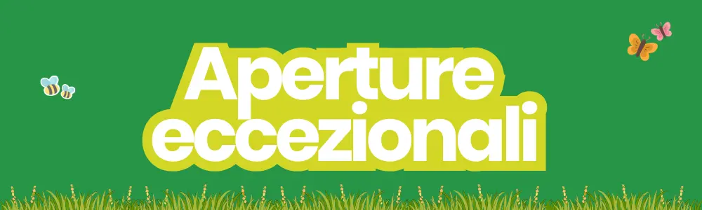 aperture speciali conforama